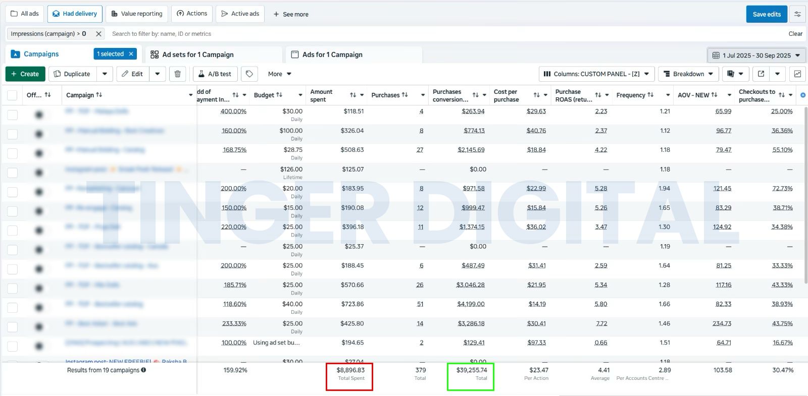 Nutty Gritties Meta Ads dashboard